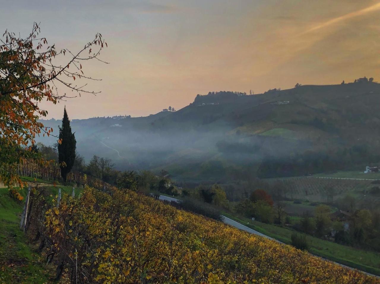 Panoramic Villa Garassino - Country Rooms And Fine Restaurant Treiso Bagian luar foto